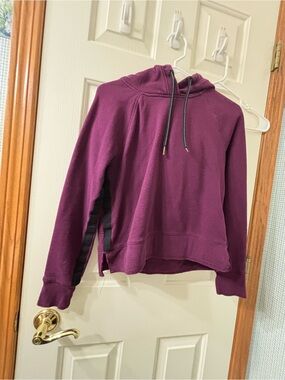 Calvin Klein Performance Plum Hoodie with Black Side Stripe